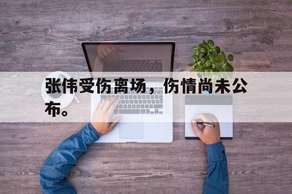 爱游戏全站app官方网站-张伟受伤离场，伤情尚未公布。