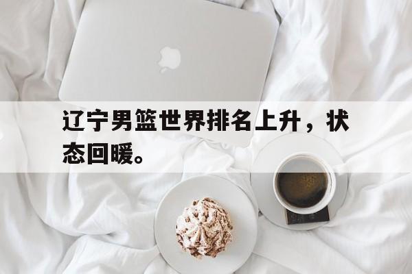 爱游戏全站app官方网站-辽宁男篮世界排名上升，状态回暖。