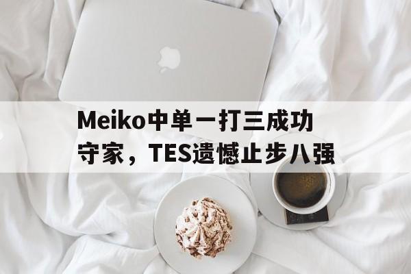 Meiko中单一打三成功守家，TES遗憾止步八强
