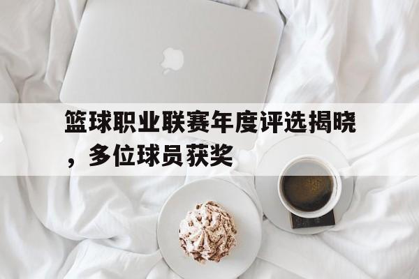 爱游戏app下载-篮球职业联赛年度评选揭晓，多位球员获奖