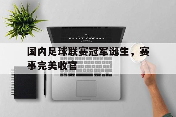 爱游戏全站app官方网站-国内足球联赛冠军诞生，赛事完美收官